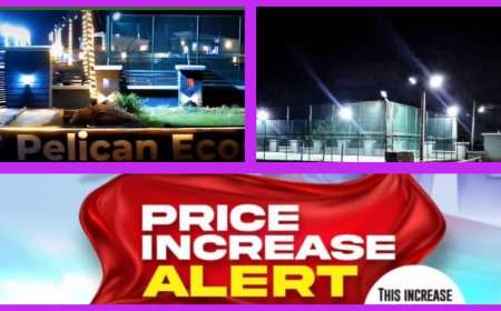 Investors Smile to The Banks As Pelican  Estates Experience Massive Capital Appreciations, Announce Upward Review of Prices