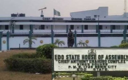 House of Assembly Suspends 18 LG Chairmen, Vice Chairmen For Two Months Following Allegations of Insubordination to Governor