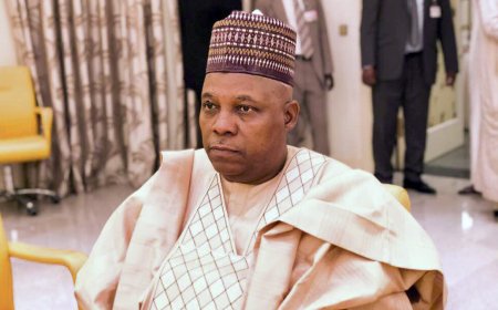 Sokoto Airstrikes Tragedy: "We Are Sorry and Dismayed at the Civilian Casualties Incurred" Says VP Shettima, Tenders Apology to Affected Families