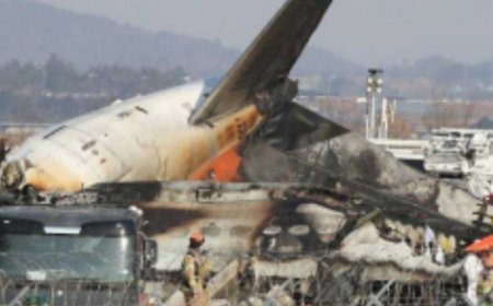 2 Survivors Rescued, 177  Killed in South Korean Air Plane Crash, Experts Finger Bird Strike As Possible Cause