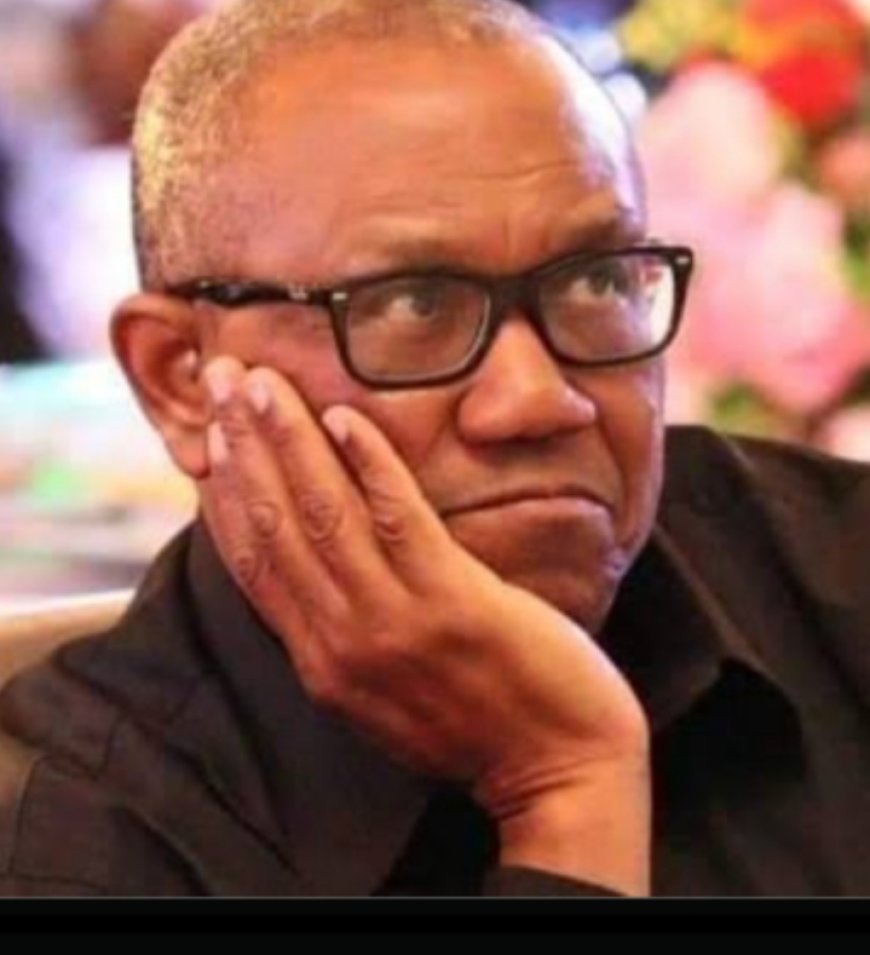 Stampedes: Peter Obi Mourns, Says  "These Tragedies Reflect the Systemic Failures that Plague Our Society"