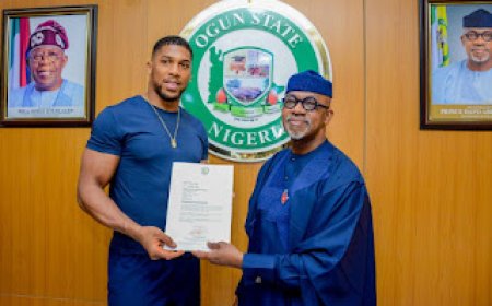 What Dapo Abiodun Plans to Do For World Heavy Weight Boxing Champion, Anthony Joshua in 2025