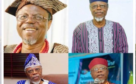 Boiling Point Releases Zoom Link for Africa-in-Focus Interview with Prof Toyin Falola Ahead of Sunday January 12