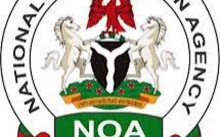 New Variant of COVID-19: NOA Begins Sensitization, Calls for Use of Nose Masks in Public Places