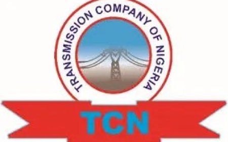 Power Outage Not Caused By Grid Collapse Says TCN