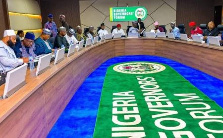 Nigerian Governors Close Ranks, Back Tax Reform Bills, Propose 50, 30,20 VAT Sharing Formula