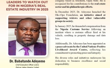 Pelican CEO Adeyemo Makes HDAN 2025 List of Top 100 Real Game Changers to Watch in Real Estate Sector