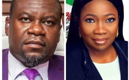 NIDCOM Chairperson Abike Dabiri-Erewa Invites Pelican Valley CEO to Share Success Stories At Zonal Diaspora Investment Forum
