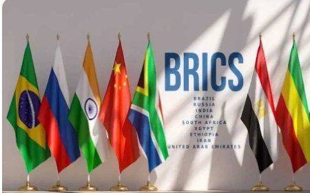 Brazilian Government Welcomes Nigeria As  Ninth Partner Country of BRICS