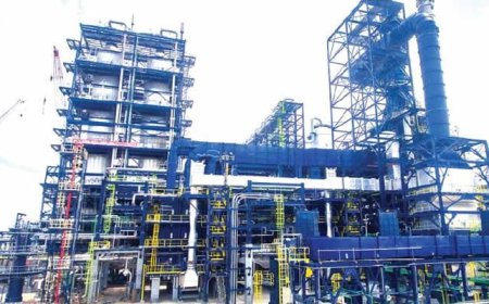 Fuel Price Hits N1,200 Per Litre in Nigeria