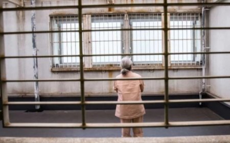 Confusion As Elderly Women in Japan Are Willing to Do Anything to Stay in Prison Indefinitely