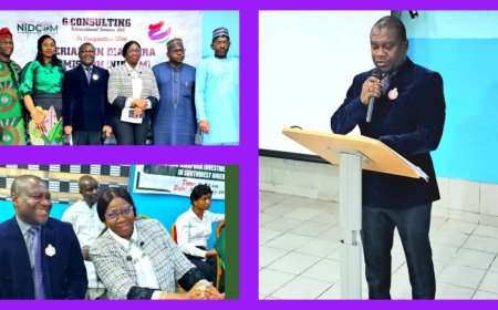 Create Incentives to Magnetize More Diaspora Investments to Nigeria -Pelican Valley, NiDCOM Tell Southwest Governors