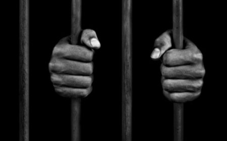 Court Remands Woman For Insulting, Spying on Husband’s WhatsApp Messages; Faces Up to 3 Years Imprisonment