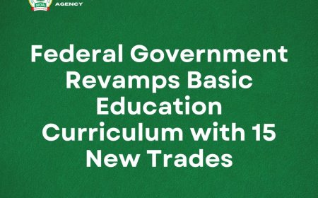 ENTREPRENEURSHIP EDUCATION: See The Full List of 15 New Vocational Subjects Added to Basic Education Curriculum in Nigeria