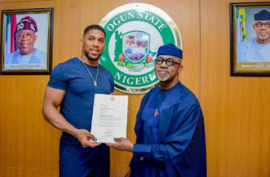 What Dapo Abiodun Plans to Do For World Heavy Weight Boxing Champion, Anthony Joshua in 2025