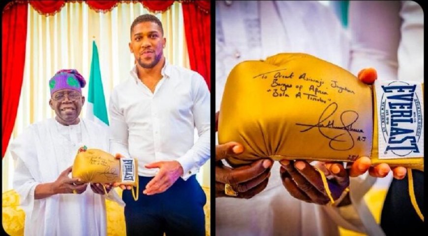 Anthony Joshua Visits President Tinubu in Lagos, Presents Him an Autographed Glove