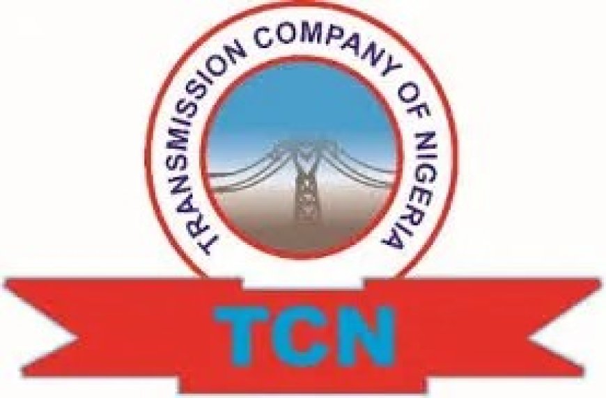 Power Outage Not Caused By Grid Collapse Says TCN