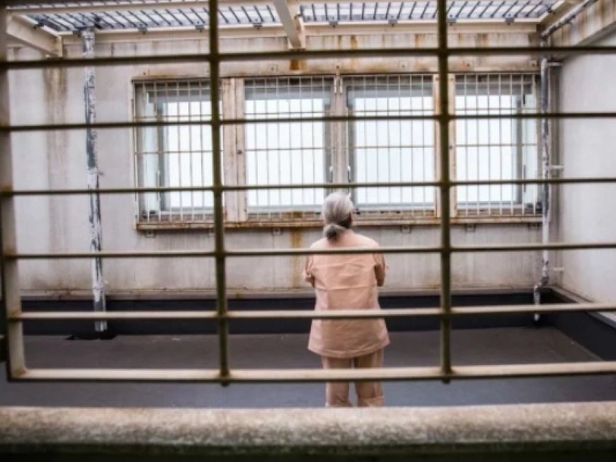 Confusion As Elderly Women in Japan Are Willing to Do Anything to Stay in Prison Indefinitely