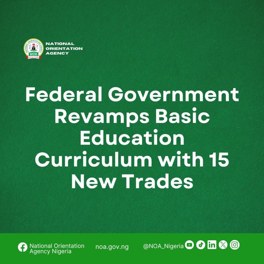 ENTREPRENEURSHIP EDUCATION: See The Full List of 15 New Vocational Subjects Added to Basic Education Curriculum in Nigeria