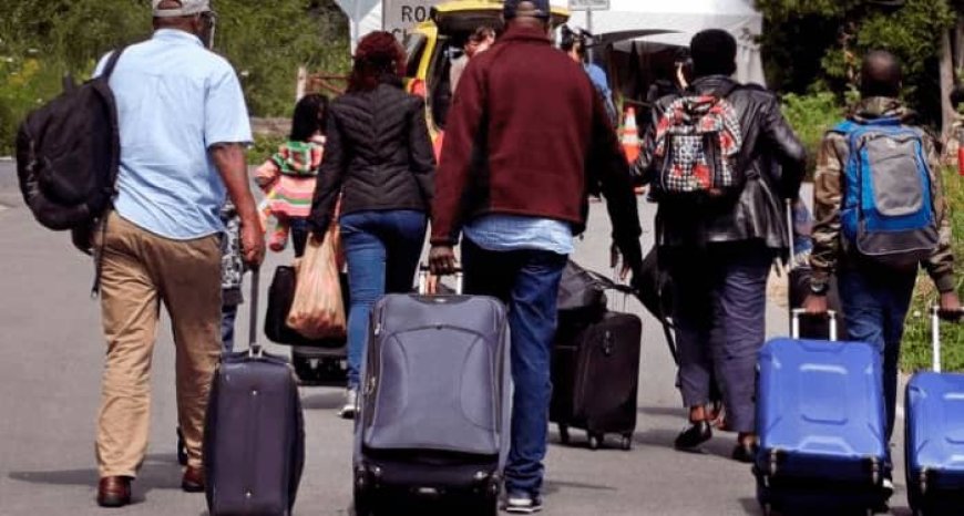 Trump's Policy: 1.4 Million Face Deportation in US, Over 3,600 Nigerians Affected