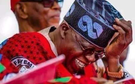 Nigeria is Bleeding, Tinubu's Economic Policy Not Working - Adamawa Governor Blows Hot, Criticizes FG