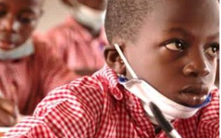BREAKING NEWS: FG Scraps JSS, SSS, introduces 12-year Basic Education System