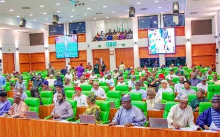 Nigeria to Have 67 States as Reps Committee Proposes Creation of 31 New States