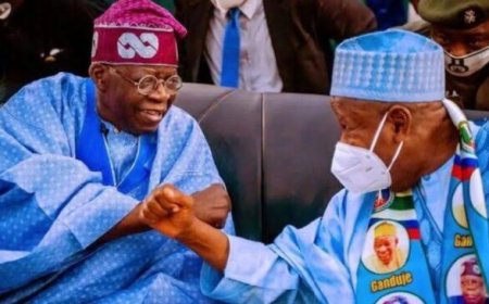 After Tinubu’s Second Term, Presidency Will Return to The North – APC Chairman, Ganduje