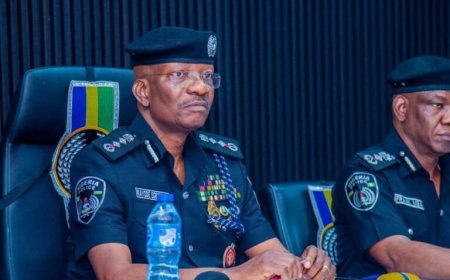Over 3,900 Arms Went Missing Before Egbetokun’s Tenure – Police Respond to Senate Panel, Explain What Transpired