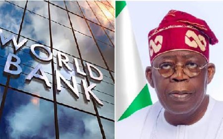 FG Seeks Fresh $300 Million Loan From World Bank - Report