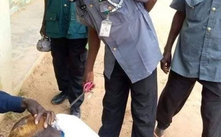 Hisbah Arrests 60 People For Indecent Haircut, Commercial Tricycle Drivers For Allegedly Mixing Male, Female Passengers in Vehicle During Ramadan Month