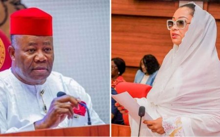 Natasha: CNPP, CNCSOs Blow Hot, Issue 7 Days Ultimatum For Akpabio to Step Down