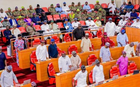 Confusion as Lagos Assembly Clerk Complained of Dizziness, Hospitalised, Shortly After Returning From DSS Invitation