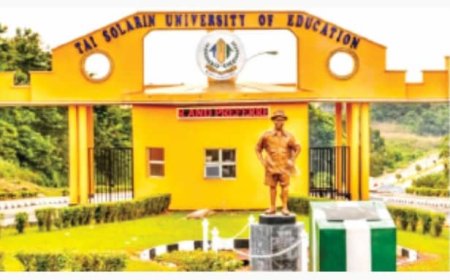 Jubilation in Ogun As President Tinubu Converts TASUED to Federal University