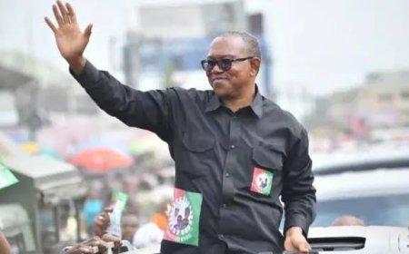 2027: We Are Emptying The Labour Party, and Peter Obi Will Dump LP to Join APC —  Tinubu’s Aide