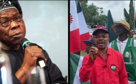 Obasanjo Criticizes New Minimum Wage, Says Labour Leaders Play Role in Its Ineffectiveness