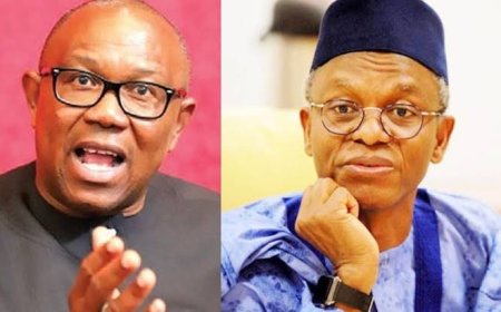 Like El-Rufai, Peter Obi Joins TikTok, Secures Over 10 Thousands Following
