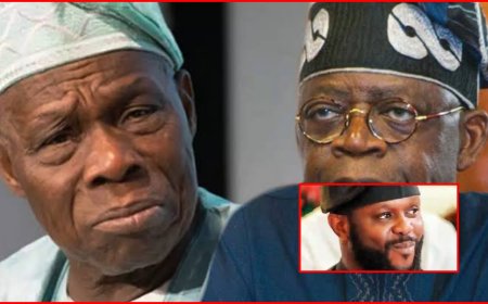 My Father, Bola Tinubu, is The Greatest President in Nigeria’s History - Seyi Tinubu