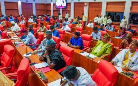 State of Emergency: Reps Back Tinubu’s Declaration of Emergency Rule in Rivers
