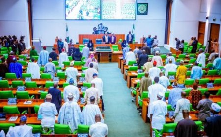 Bill Seeking to Allow Simultaneous Conduct of Presidential, Governorship, Assembly Elections on Same Day, Passes Second Reading