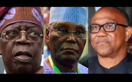 Tinubu, Atiku, Obi, Other 2027 Presidential, Gubernatorial Candidates at Risk as Bill to Stop Contestants Above 60 Scales Second Reading