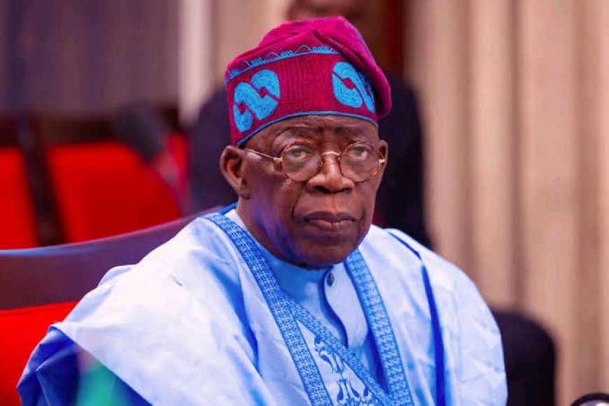 Excitements As Tinubu Appoints VC, Other Principal Officers For Federal University Of Medicine And Medical Sciences, Abeokuta, Provost, FCET, Yauri