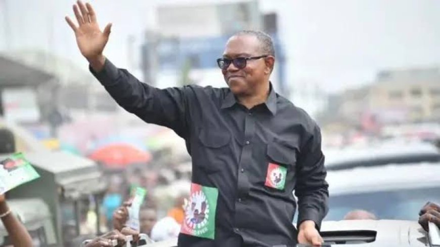 2027: We Are Emptying The Labour Party, and Peter Obi Will Dump LP to Join APC —  Tinubu’s Aide