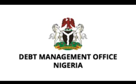 Nigeria's Public Debt Rose From N97.34tn to N144.67tn, Representing 48.58 Per Cent Increase - Report