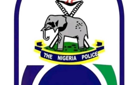 Nigeria Police, Other Security Forces Provide Security for Protesters