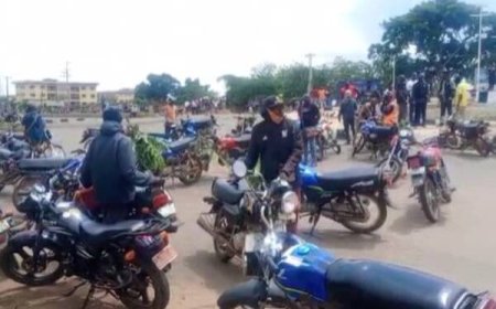 Ondo: Akure Youths Stage Protests Over  Killing of Farmers