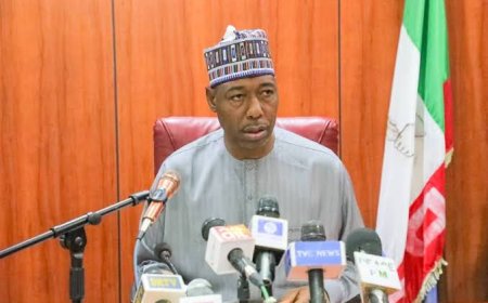 North West Insecurity: Borno Governor, Zulum Cries Out Over Boko Haram Resurgence