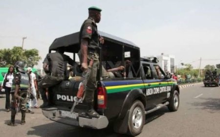 Police Arrest Mortuary Attendants Over Alleged Missing Manhood, Tongue of Deceased, Accusers Say Rodents Might Have Consumed Them