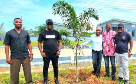KOBAPE, ABEOKUTA: Pelican Valley Set To Magnetize Over $100m Foreign Investment In Healthcare To Ogun