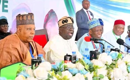 Tinubu, Shettima Distance Selves From 2027 Campaign Billboards, Call For Immediate Removal